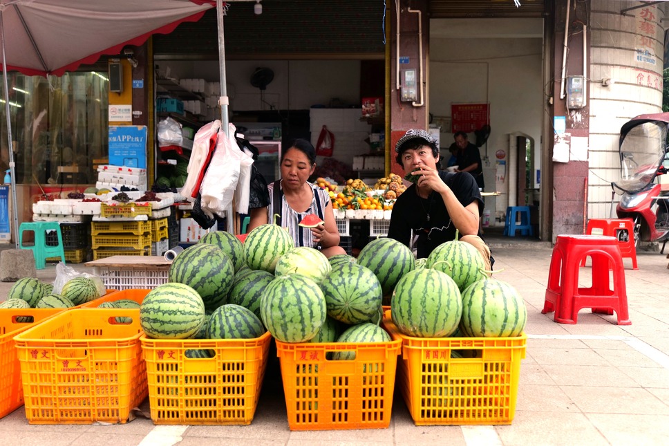 劇場版 再会長江 10枚目の写真・画像