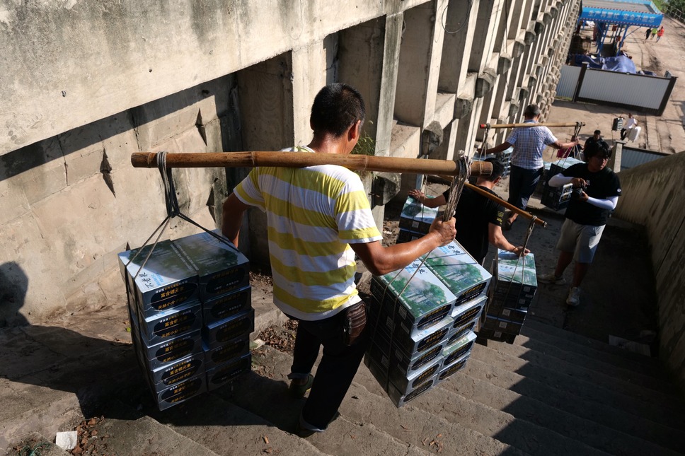 劇場版 再会長江 13枚目の写真・画像