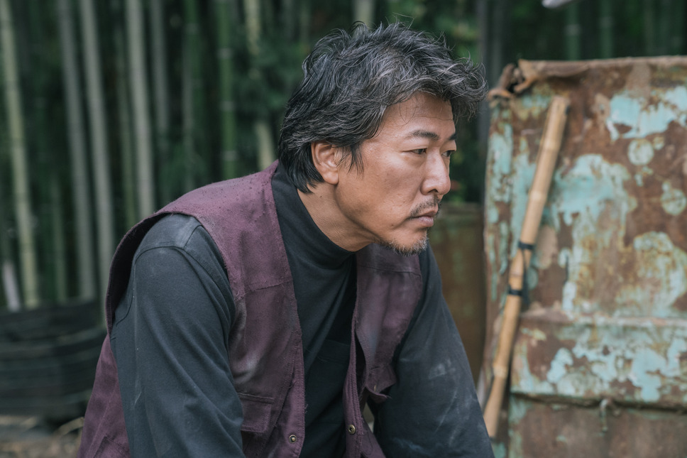 若武者 8枚目の写真・画像