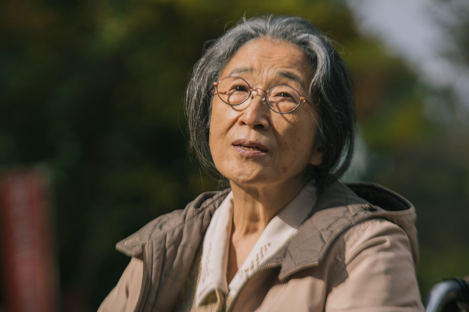 若武者 9枚目の写真・画像