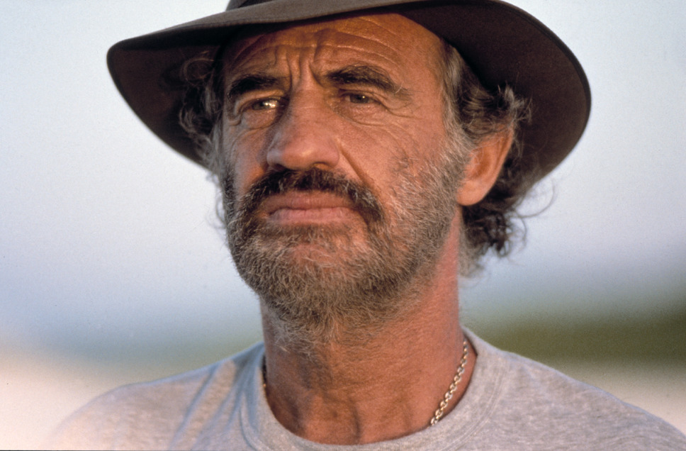 ライオンと呼ばれた男 ２Kリマスター版 3枚目の写真・画像