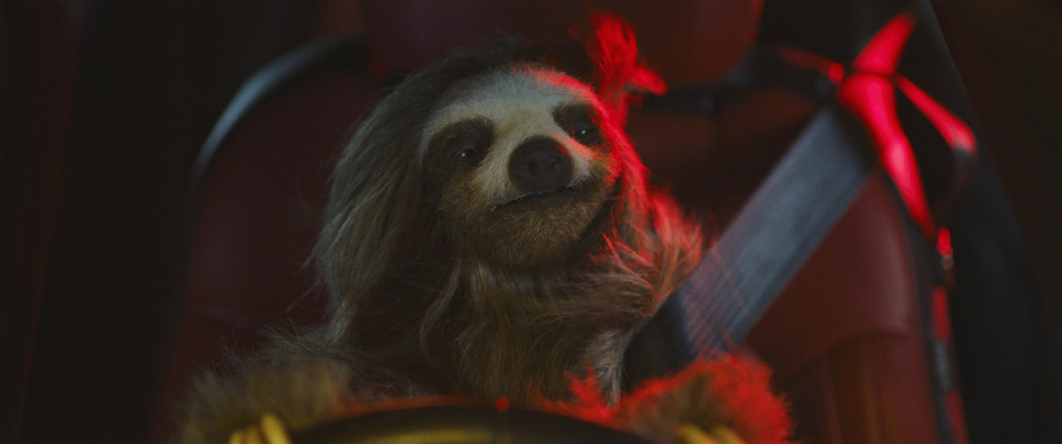 キラー・ナマケモノ 2枚目の写真・画像