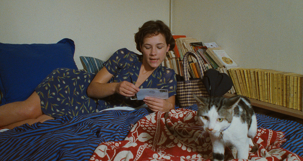 パリでかくれんぼ 完全版 4枚目の写真・画像