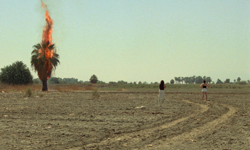 クイーン・オブ・ダイヤモンド 3枚目の写真・画像