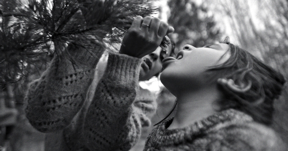 人間の境界 11枚目の写真・画像