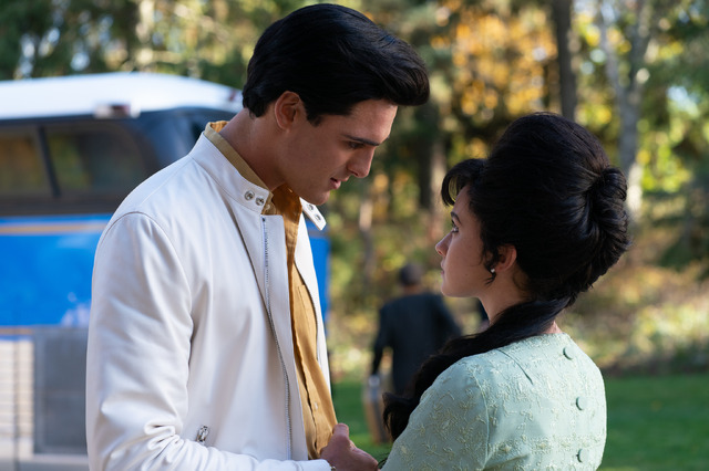 プリシラ 17枚目の写真・画像