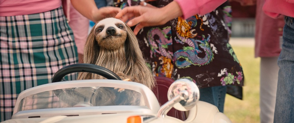 キラー・ナマケモノ 9枚目の写真・画像