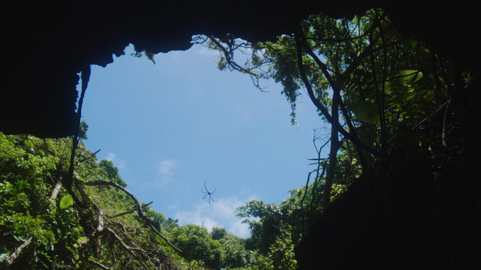骨を掘る男 10枚目の写真・画像