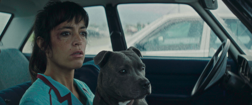 またヴィンセントは襲われる 5枚目の写真・画像