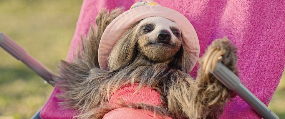 キラー・ナマケモノ 15枚目の写真・画像