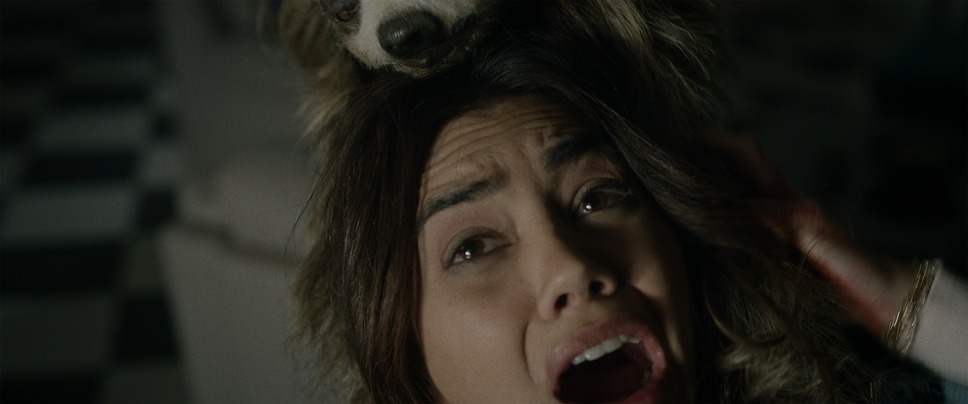 キラー・ナマケモノ 17枚目の写真・画像