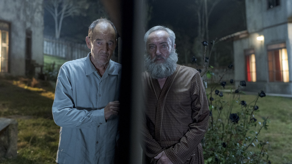 お隣さんはヒトラー？ 2枚目の写真・画像