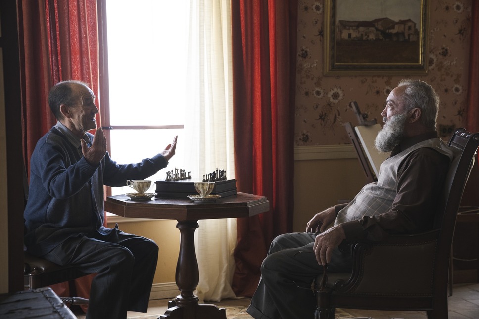 お隣さんはヒトラー？ 6枚目の写真・画像