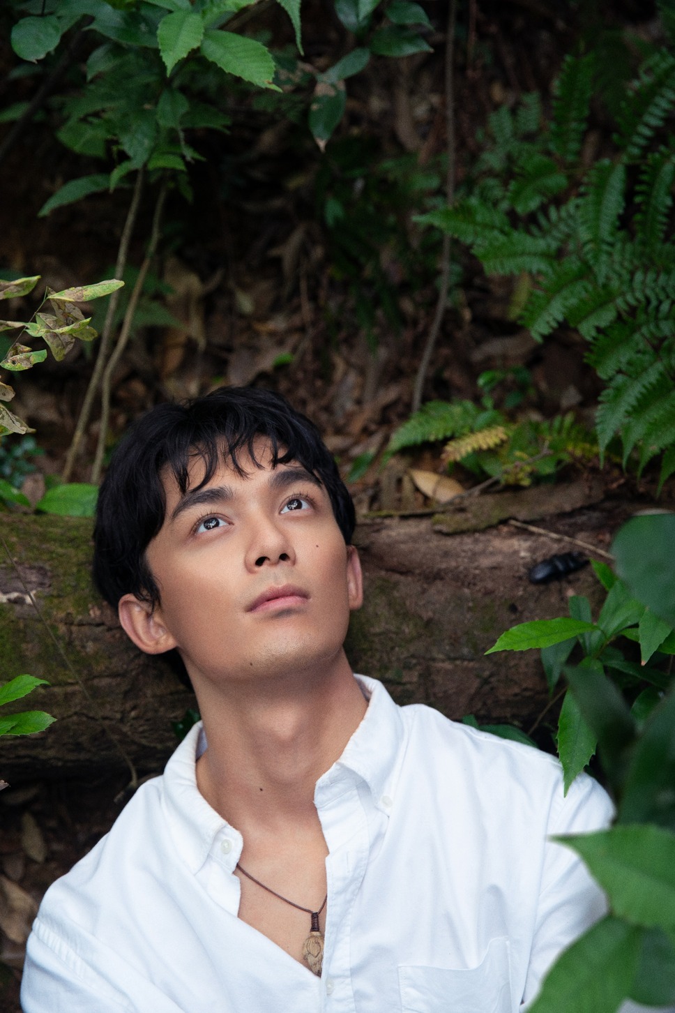 西湖畔（せいこはん）に生きる 7枚目の写真・画像