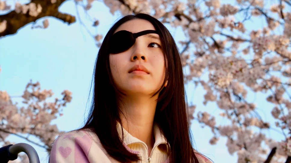 春の香り 1枚目の写真・画像