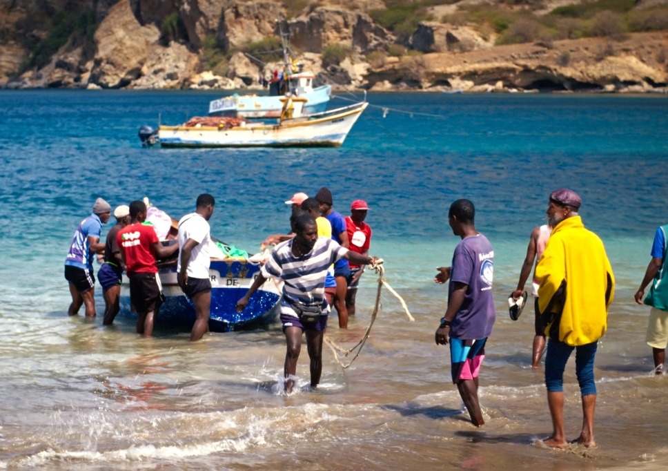 クレオの夏休み 6枚目の写真・画像