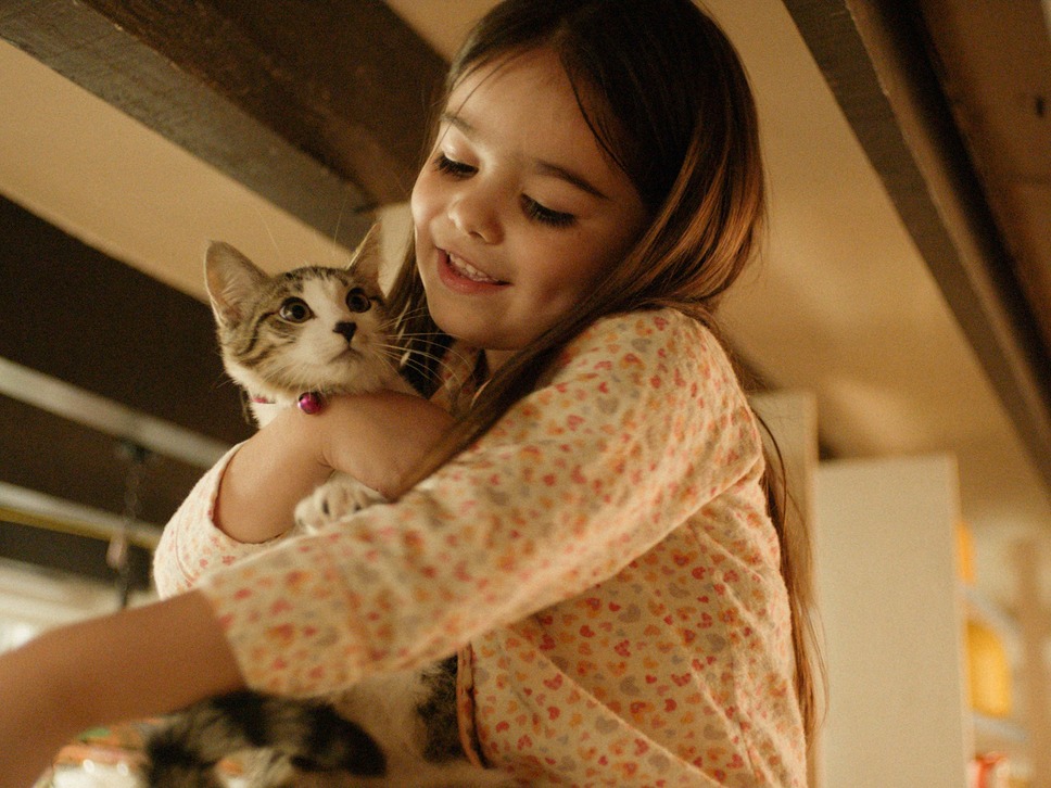 夏の終わりに願うこと 9枚目の写真・画像