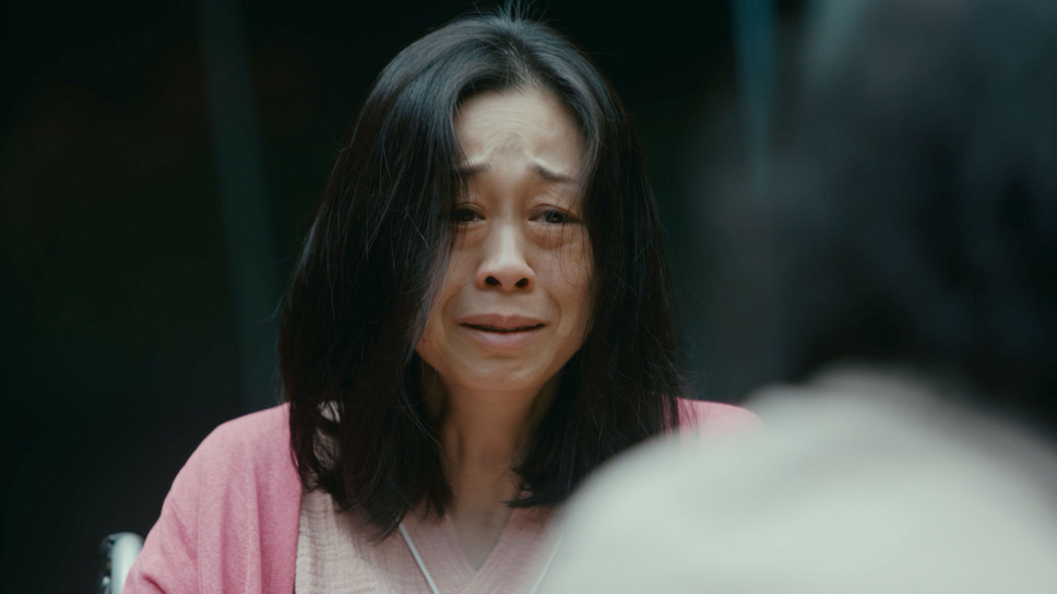 ひどくくすんだ赤 5枚目の写真・画像