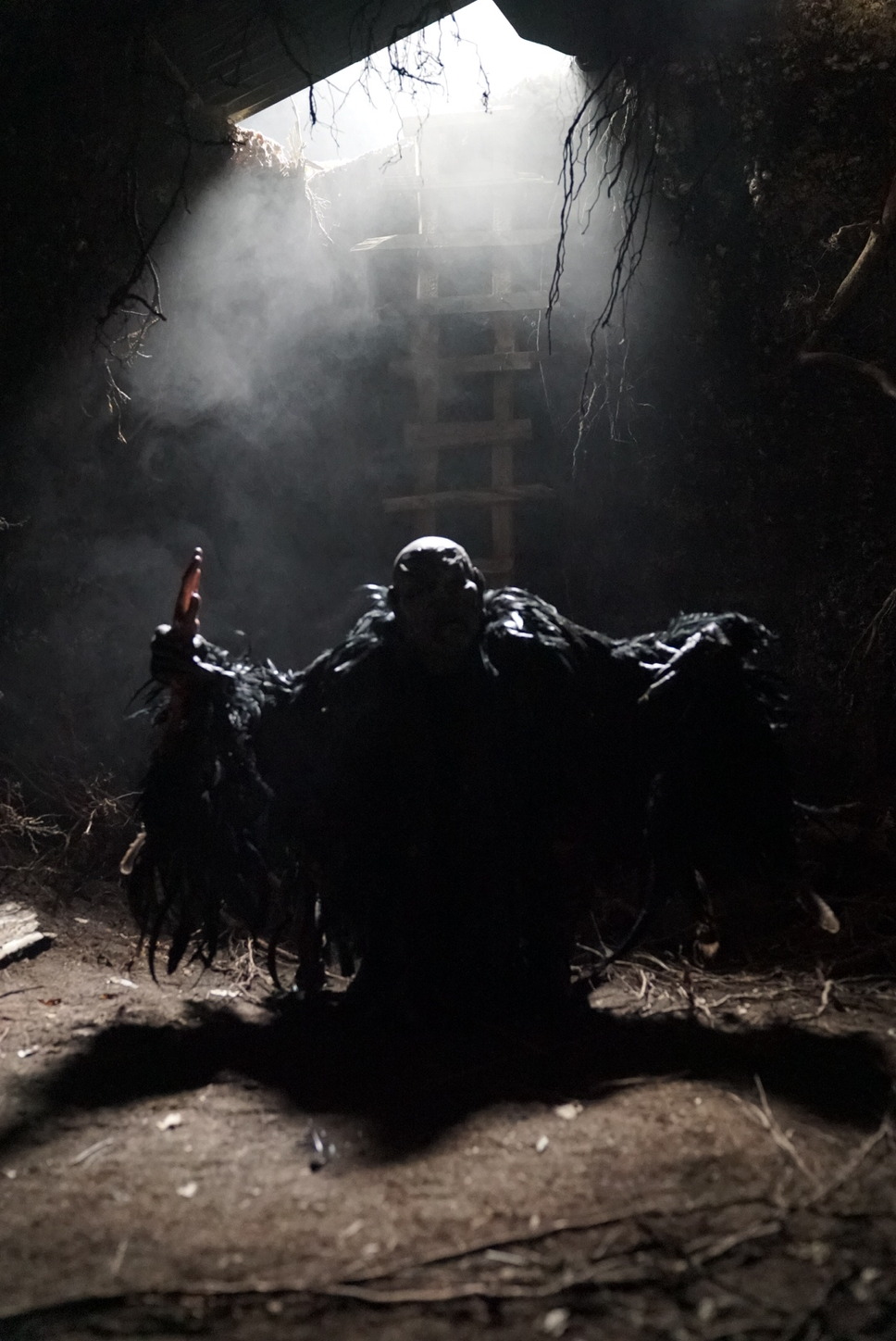 プー２  あくまのくまさんとじゃあくななかまたち 14枚目の写真・画像