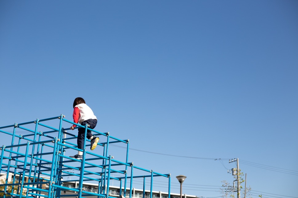 とりつくしま 17枚目の写真・画像