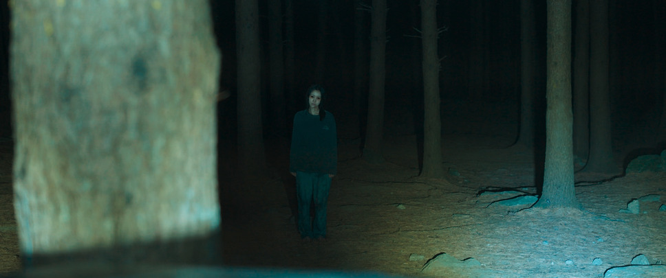 雉岳山（チアクサン） 2枚目の写真・画像