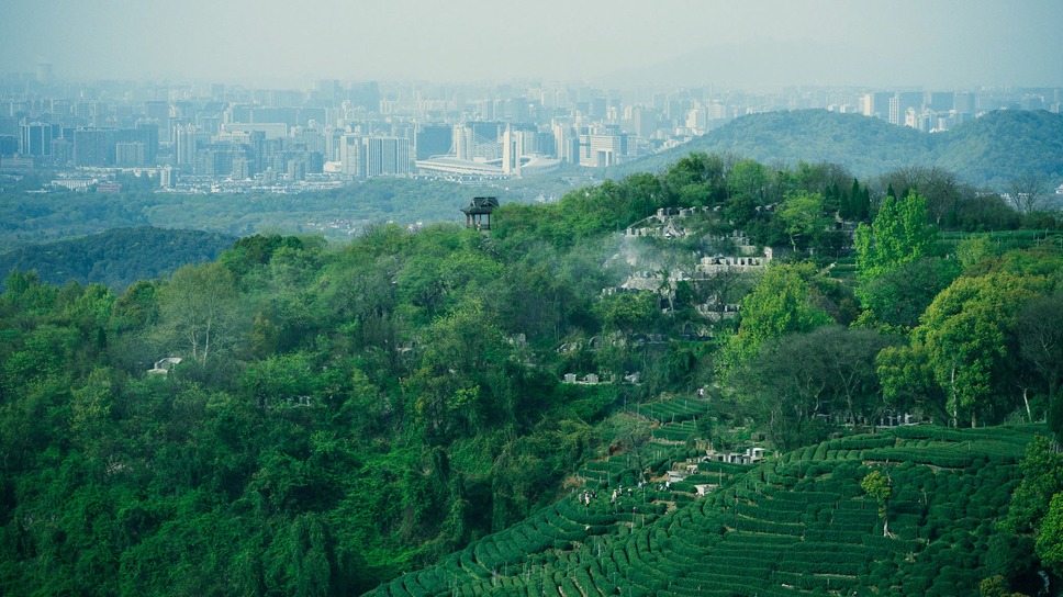 西湖畔（せいこはん）に生きる 15枚目の写真・画像