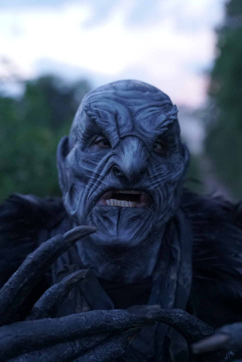 プー２  あくまのくまさんとじゃあくななかまたち 19枚目の写真・画像