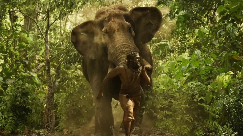 ジガルタンダ・ダブルX 15枚目の写真・画像