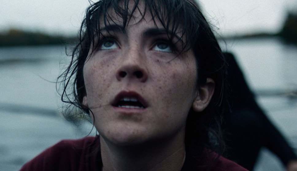 ノーヴィス 2枚目の写真・画像