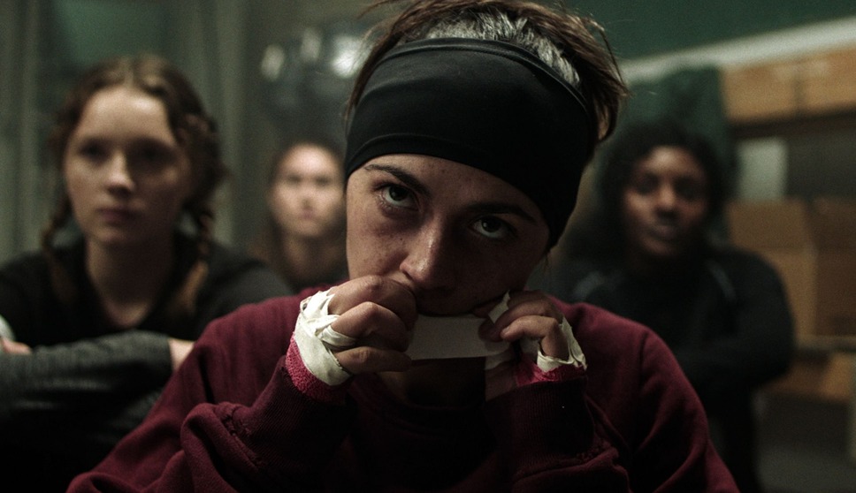 ノーヴィス 4枚目の写真・画像