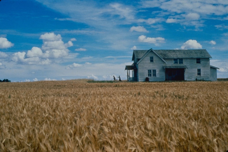 柔らかい殻 デジタルリマスター版 2枚目の写真・画像