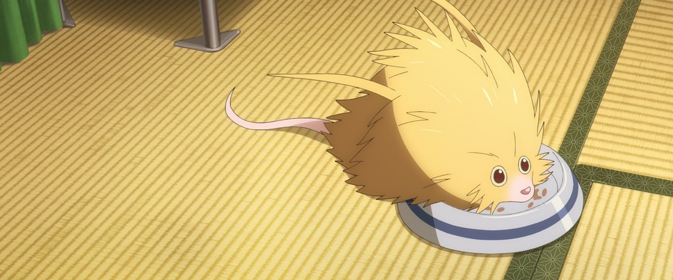 ふれる。 15枚目の写真・画像