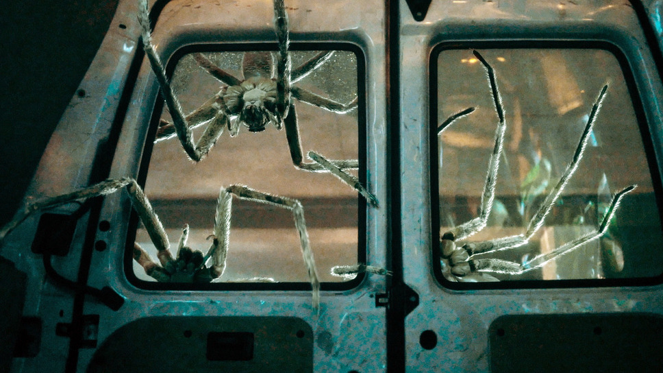 スパイダー／増殖 9枚目の写真・画像