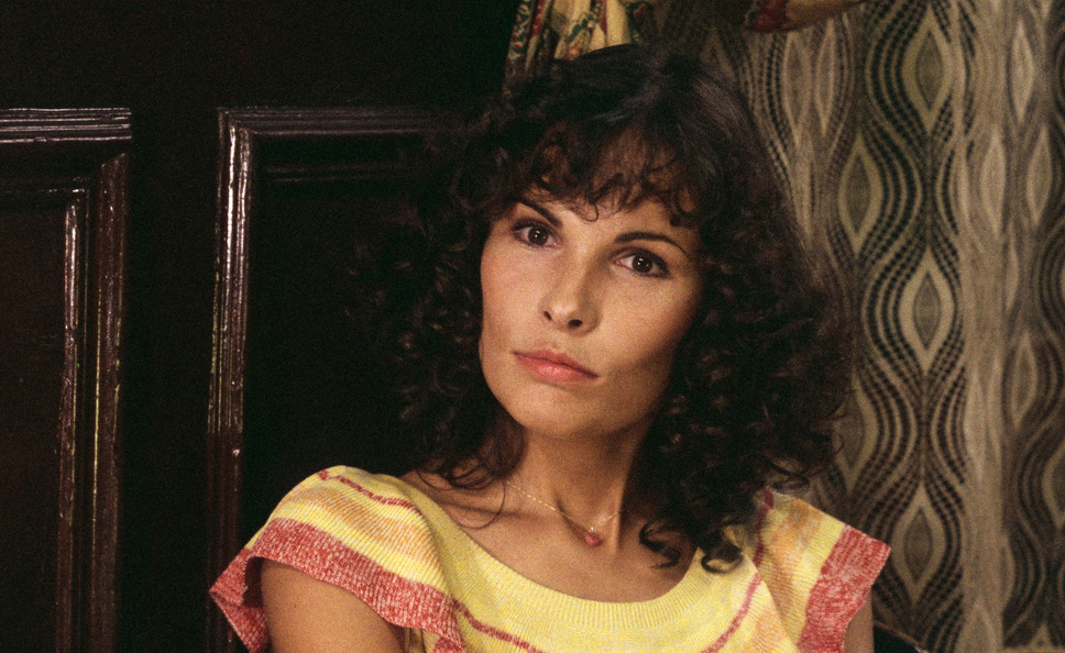 リュミエール 7枚目の写真・画像