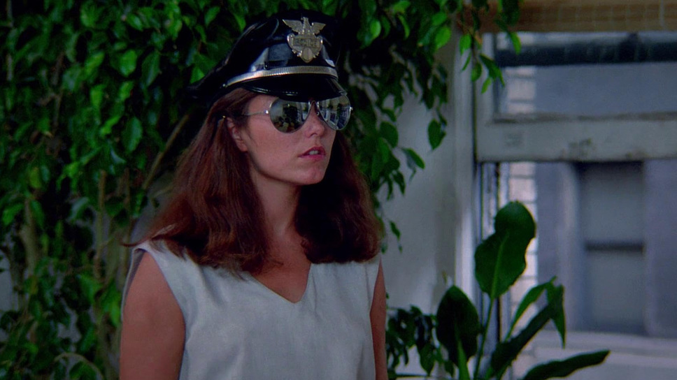 クルージング 10枚目の写真・画像