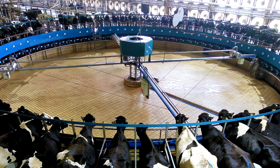 フード・インク ポスト・コロナ 12枚目の写真・画像