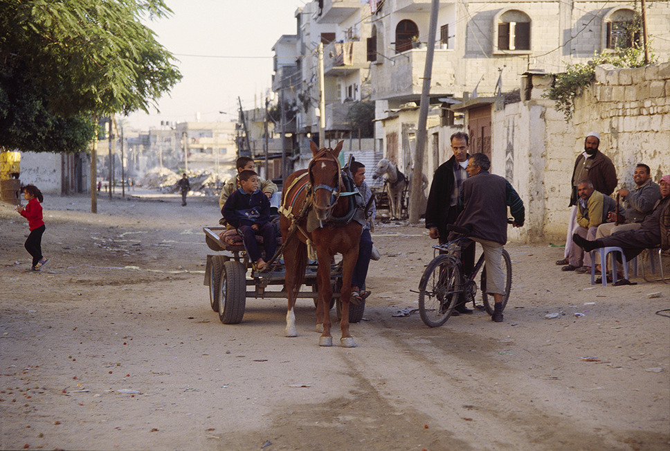 ガザからの報告 7枚目の写真・画像