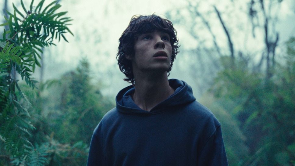 動物界 3枚目の写真・画像