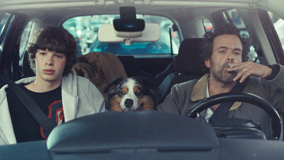 動物界 8枚目の写真・画像