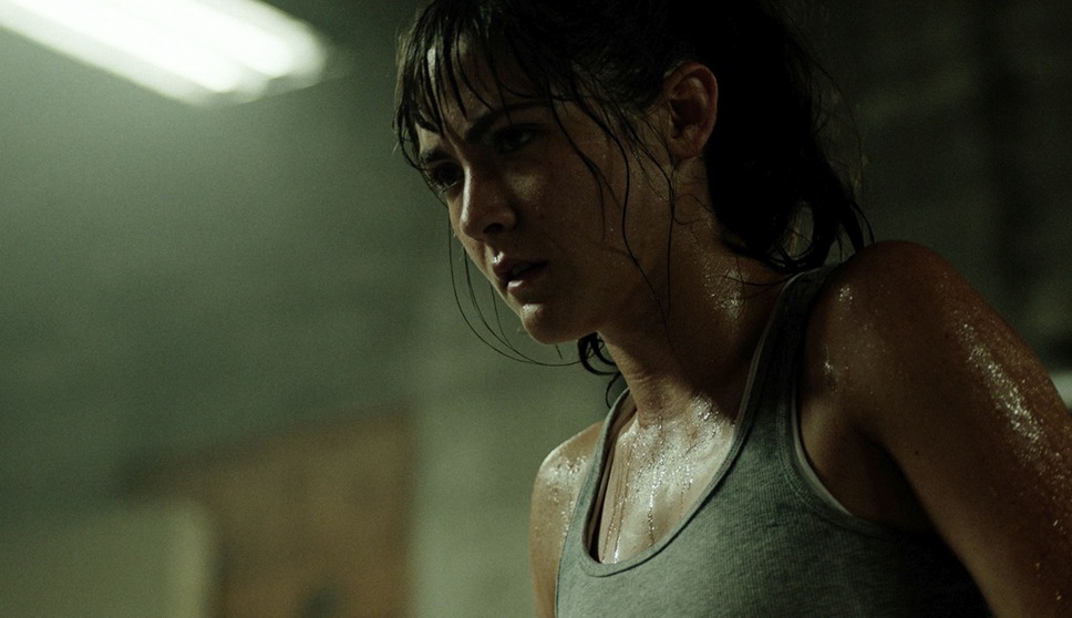 ノーヴィス 11枚目の写真・画像