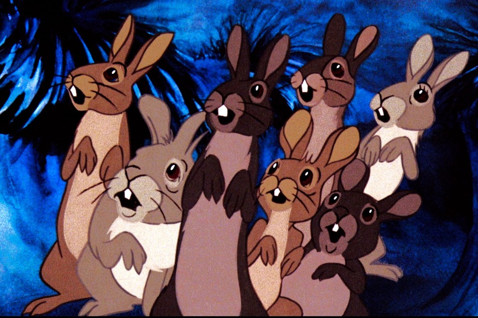 ウォーターシップ・ダウンのうさぎたち HD リマスター版 8枚目の写真・画像