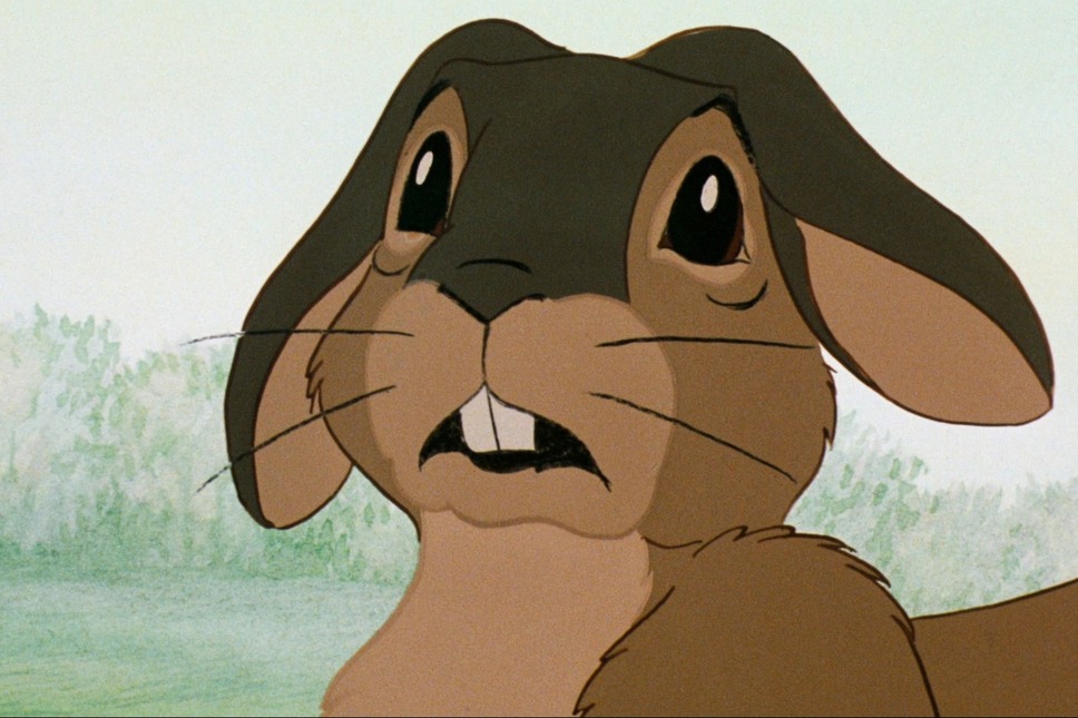 ウォーターシップ・ダウンのうさぎたち HD リマスター版 9枚目の写真・画像