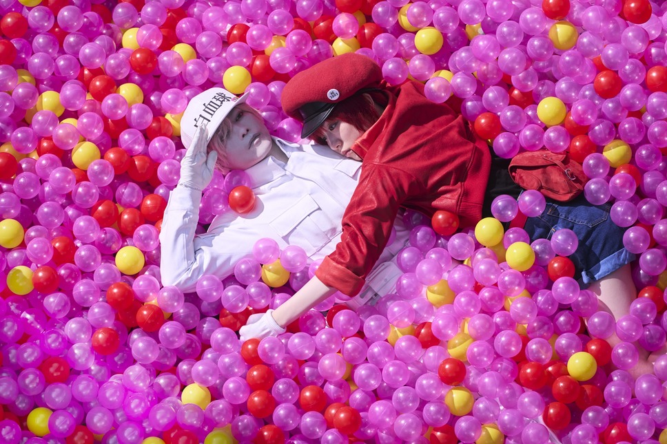 はたらく細胞 13枚目の写真・画像