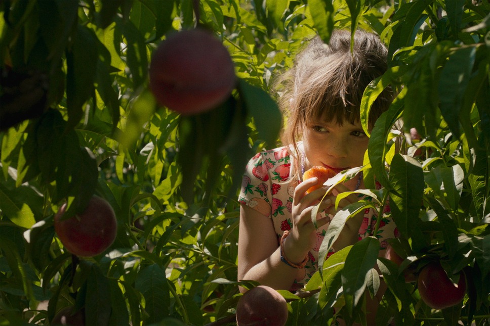 太陽と桃の歌 3枚目の写真・画像