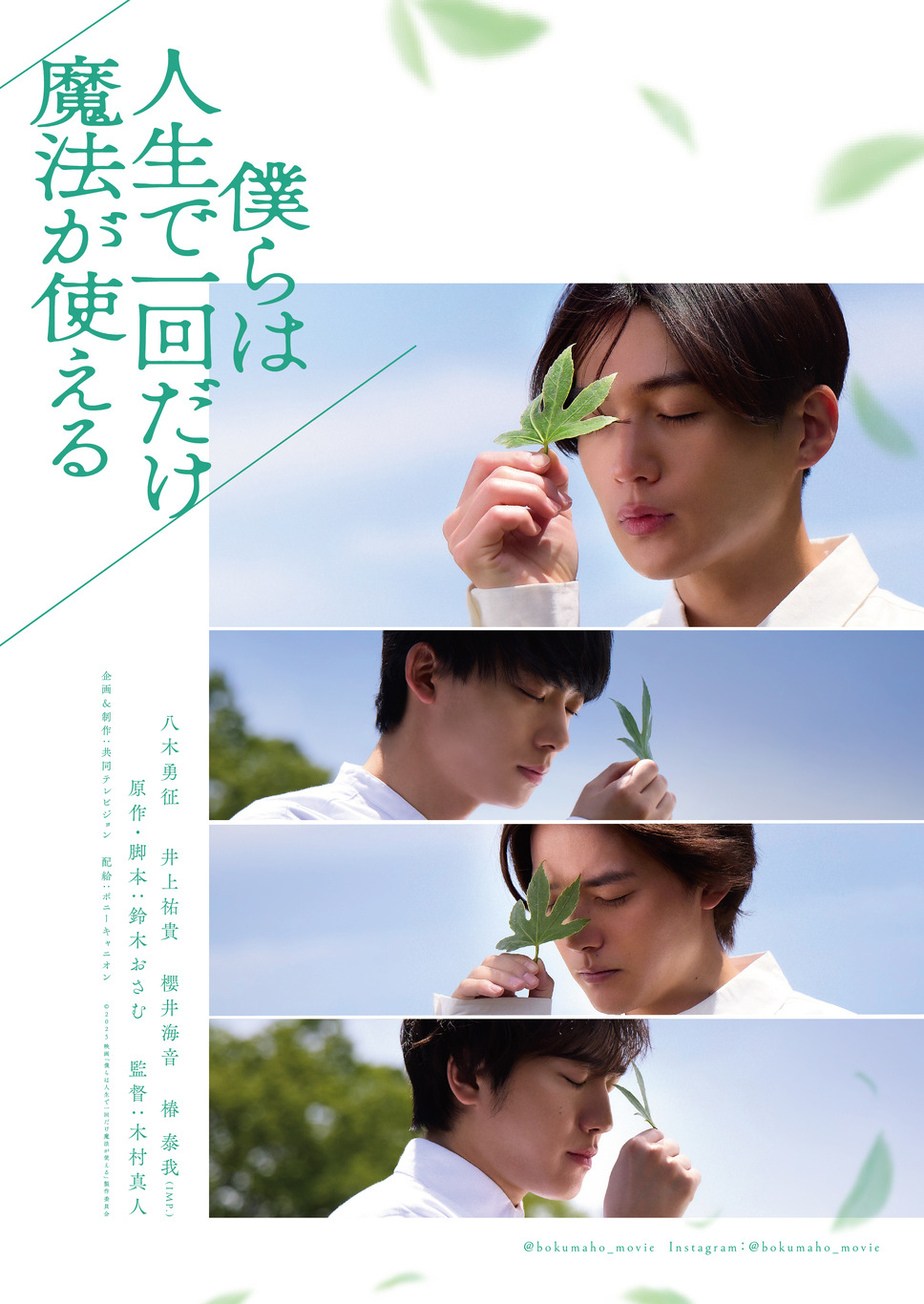 僕らは人生で一回だけ魔法が使える 3枚目の写真・画像