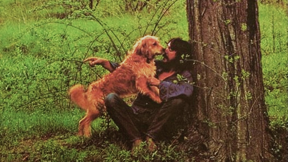 ボビー・チャールズ 極楽の歌 4枚目の写真・画像