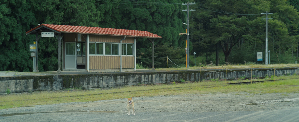 カオルの葬式 9枚目の写真・画像