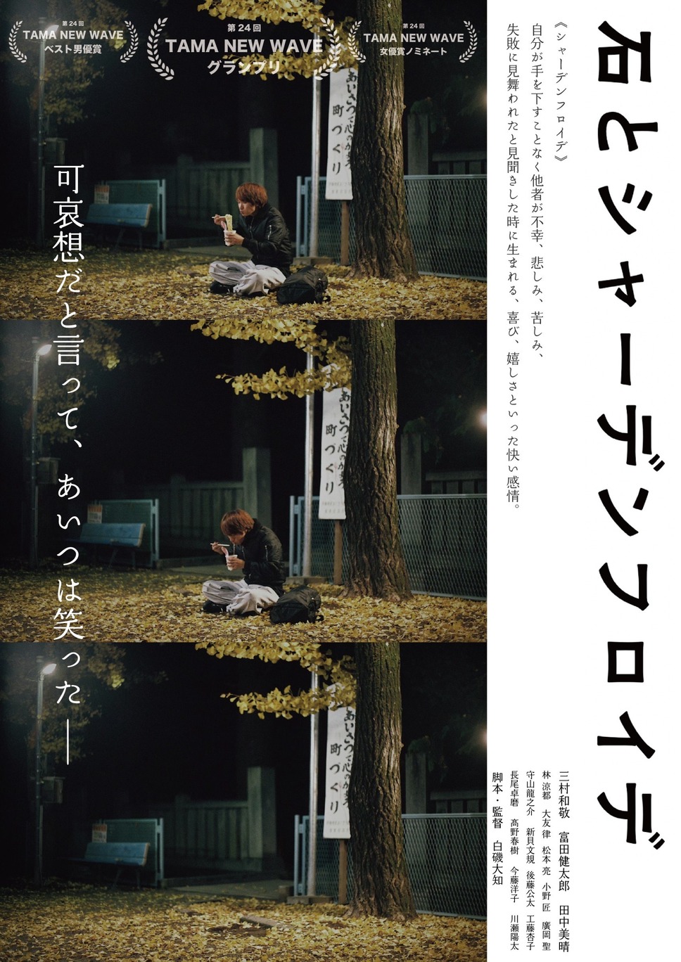 石とシャーデンフロイデ 1枚目の写真・画像