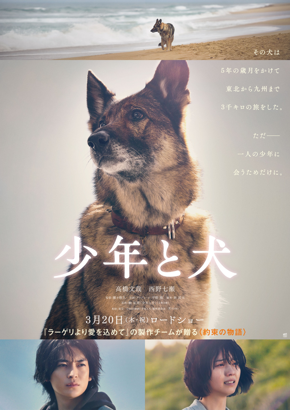 少年と犬（2025） 3枚目の写真・画像