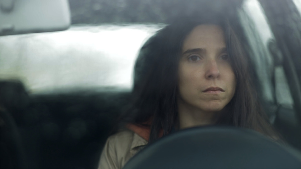 トレンケ・ラウケン 10枚目の写真・画像